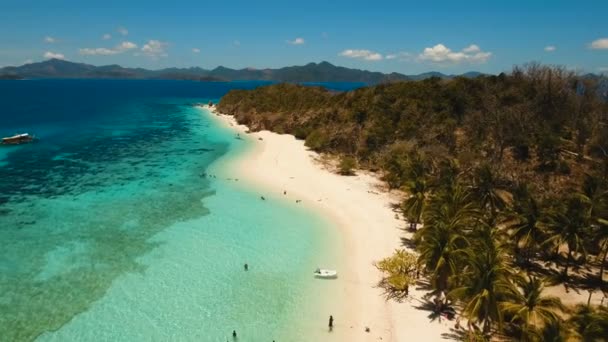 Légifelvételek gyönyörű strandon, egy trópusi sziget Malcapuya. Fülöp-szigetek. — Stock videók