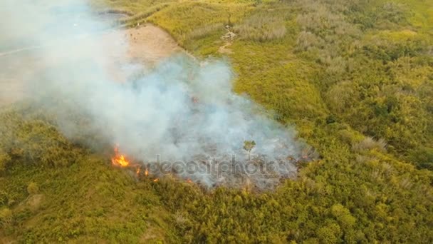 Vue aérienne Incendie de forêt. Busuanga, Palawan, Philippines .