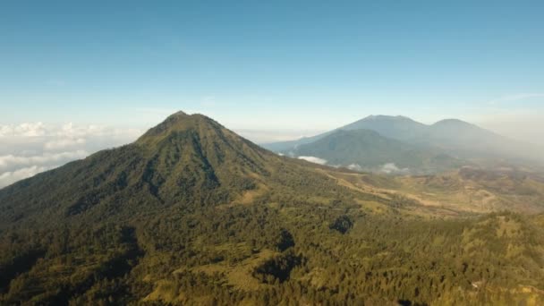 Paysage de montagne île de Jawa, Indonésie. — Video