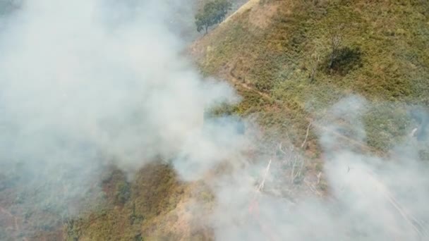 Widok z lotu ptaka pożar lasu. Wyspa Jawa, Indonezja. — Wideo stockowe