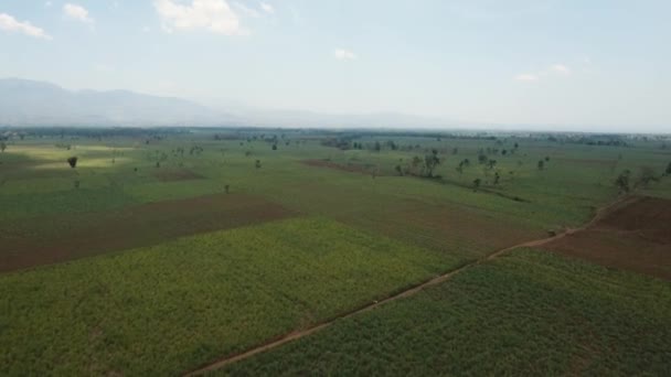 Campos agrícolas vista montaña. Isla de Jawa, Indonesia . — Vídeo de stock