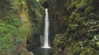 Güzel tropik şelale. Bali, Endonezya.