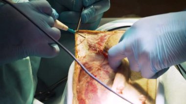 Veteriner kliniğinde bir köpeğin cerrahi müdahalesi