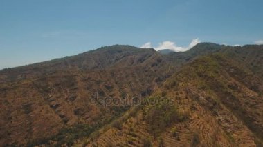 Dağ ormanlarının manzarası. Bali