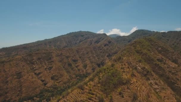 View of mountain forest landscape. Bali — Stock Video