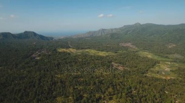 Dağ manzarası tarım arazileri ve Endonezya Bali köyü.