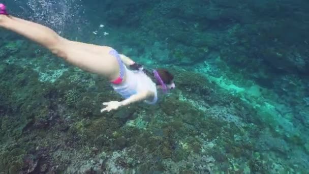 Meisje snorkelen onderwater. — Stockvideo