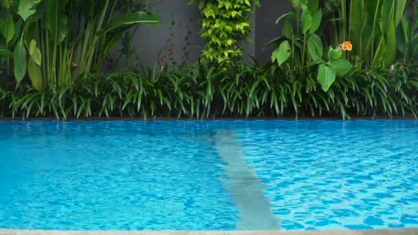 La fille nage dans la piscine.