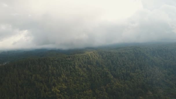 Deštný prales v oblacích, Bali, Indonésie. — Stock video