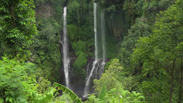 Beautiful tropical waterfall. Bali,Indonesia. — Stock Video