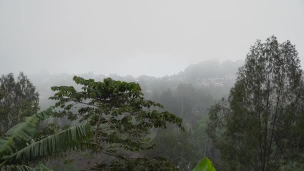 Mezőgazdasági terület a hegyekben a felhőben. Bali, Indonézia. — Stock videók