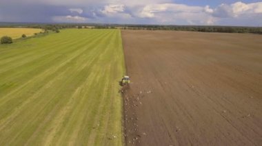 Traktör tarlayı sürüyor. Video kaydı..