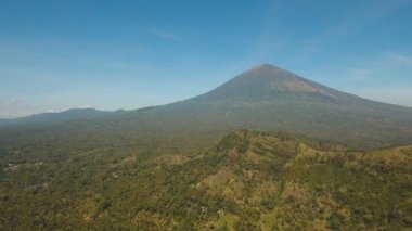 Dağ ormanlarının manzarası. Bali