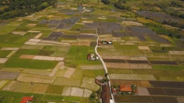 Dağ manzarası tarım arazileri ve Endonezya Bali köyü.