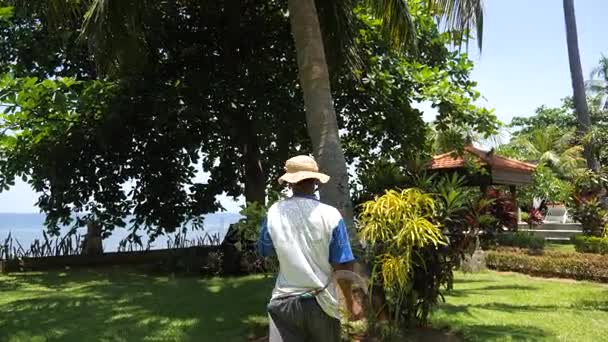 Коллекционер кокосов, взбирающийся на пальму . — стоковое видео