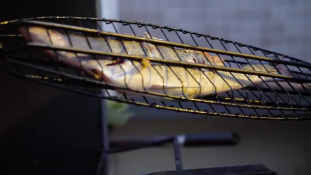 Vissen in een rij op de grill. — Stockvideo