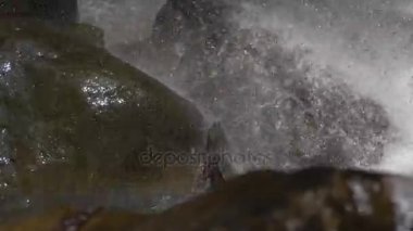 Güzel tropik şelale. Bali, Endonezya.