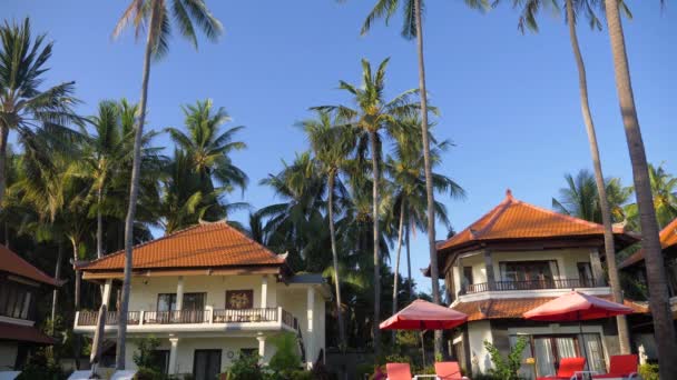 Tropiskt landskap med palmer, hotel. — Stockvideo