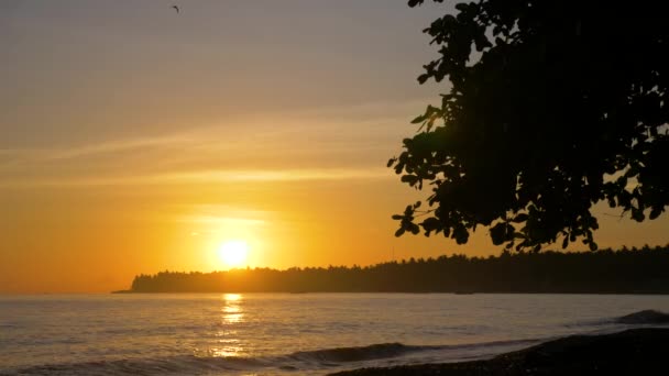 Закат на берегу моря. Бали, Индонезия. — стоковое видео
