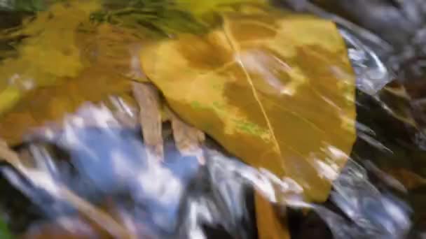 Fiume con acqua corrente . — Video Stock