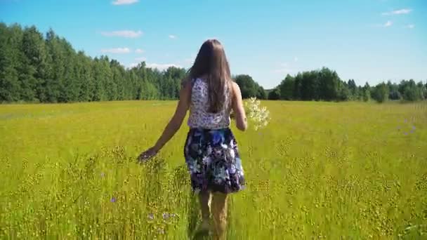 Zomer landschap, meisje, gebied van vlas — Stockvideo