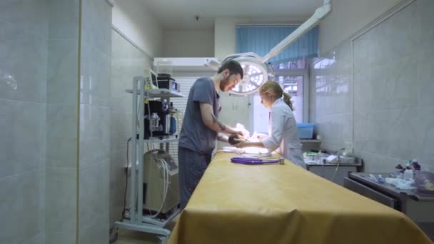 Sala de cirugía veterinaria. — Vídeos de Stock