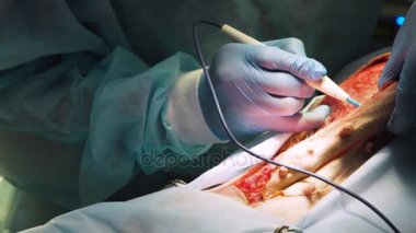 Veteriner kliniğinde bir köpeğin cerrahi müdahalesi