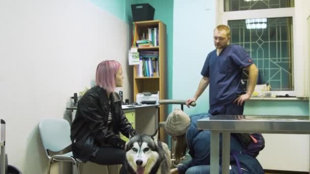 Fille avec chien en clinique vétérinaire . — Video