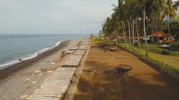 巴厘岛的盐生产. — 图库视频影像
