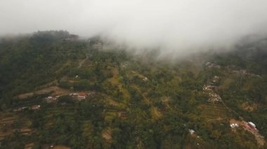 Dağlarda, bulutların arasında tarım arazileri. Bali, Endonezya.
