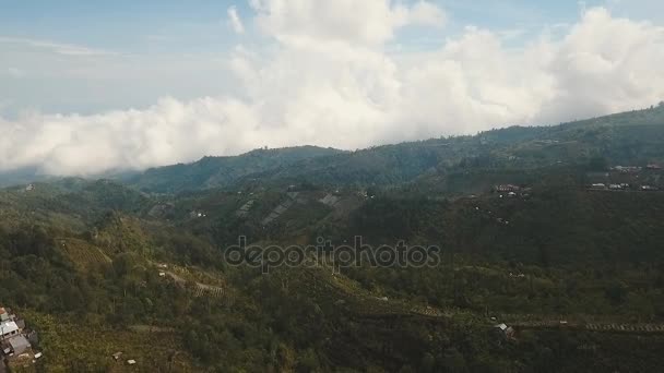 Paysage de montagne avec terres agricoles, Bali, Indonésie