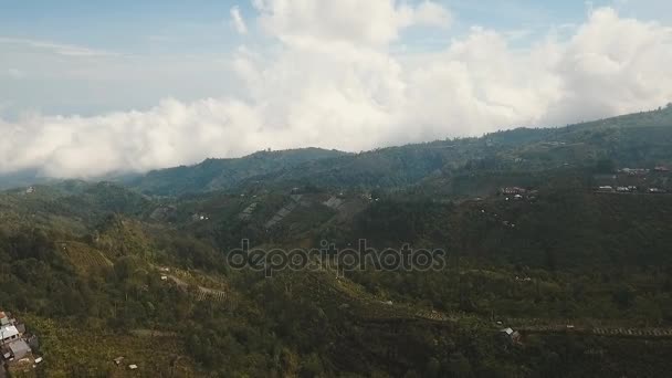 Endonezya, Bali, tarım arazileri olan dağ manzarası — Stok video