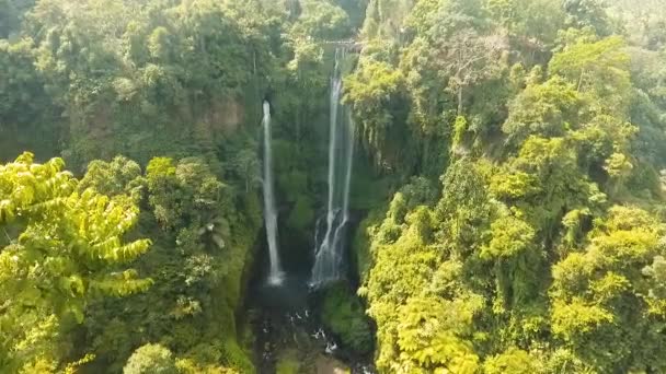 Kaunis trooppinen vesiputous. Bali,Indonesia. — kuvapankkivideo