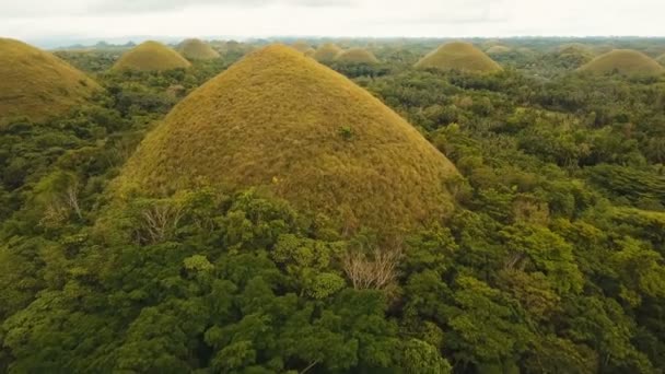 Chocolate Hills in Bohol, Philippines, Aerial view. — Stock Video