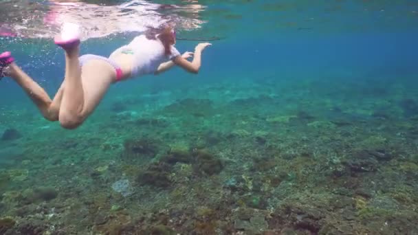 Menina snorkelling subaquático . — Vídeo de Stock