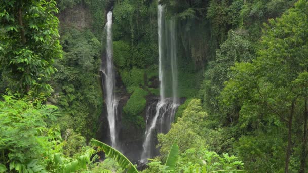 Beautiful tropical waterfall. Bali,Indonesia. Cinemagraph — Stock Video