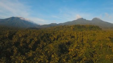 Tropikal orman ile Dağları. Camiguin Adası Filipinler.
