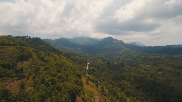 Góry z tropikalnym lasem. Wyspa Cebu na Filipinach. — Wideo stockowe