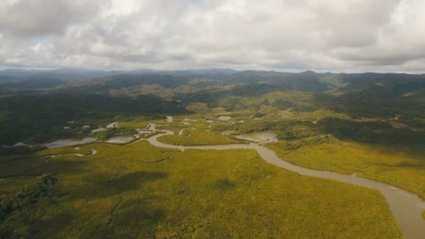 Mangrovových lesů v Asii. Filipíny Catanduanes ostrov. — Stock video