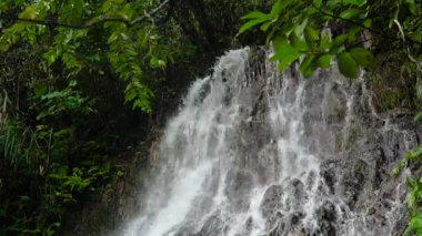 Güzel tropik şelale. Filipinler Cebu Adası.