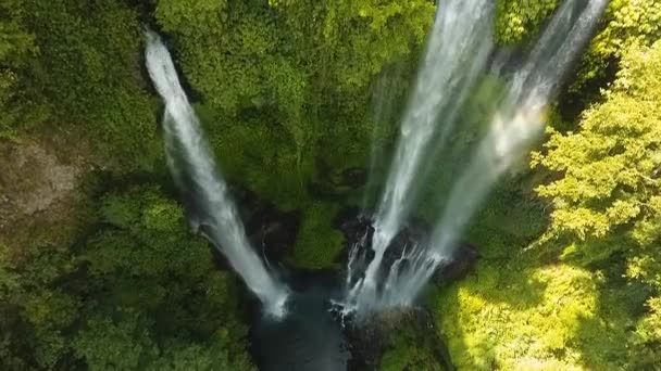 Vackert tropiskt vattenfall. Bali, Indonesien. — Stockvideo