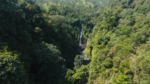 Bela cachoeira tropical. Bali, Indonésia. — Vídeo de Stock