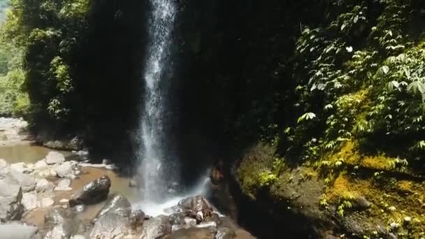 Bela cachoeira tropical. Bali, Indonésia. — Vídeo de Stock