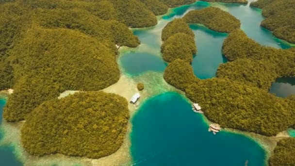 Hava manzaralı tropikal göl, deniz, sahil. Bucas Grande Adası, Sohoton Koyu. Filipinler. — Stok video