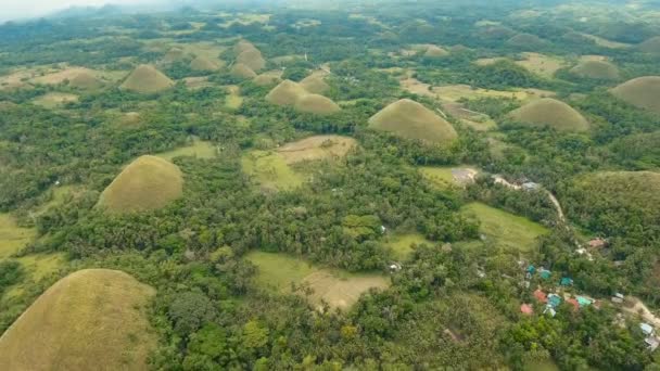 Шоколадные Холмы в Бохоле, Филиппины, Вид с воздуха . — стоковое видео