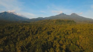 Tropikal orman ile Dağları. Camiguin Adası Filipinler.