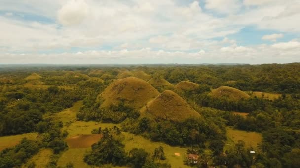 Schokoladenhügel in Bohol, Philippinen, Luftaufnahme. — Stockvideo