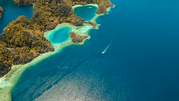 Pemandangan udara laguna tropis, laut, pantai. Pulau tropis. Busuanga, Palawan, Filipina. — Stok Video