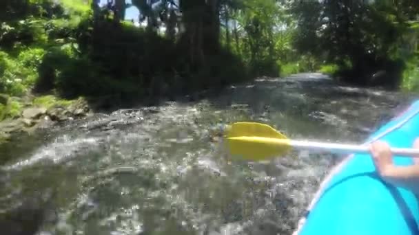 Rafting sur la rivière de montagne en Indonésie . — Video