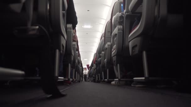 Innenraum des Passagierflugzeugs. — Stockvideo